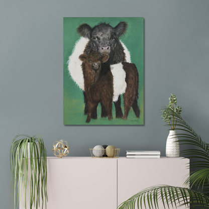 Belted Galloway cow and calf: a stretched canvas of the traditional cattle of Galloway, south-west Scotland