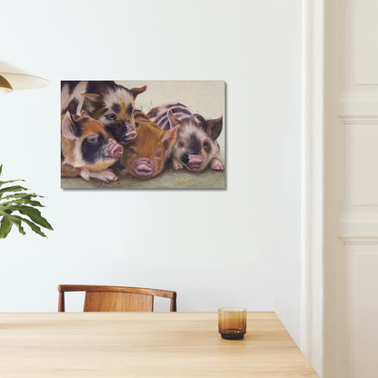 Four little piggies: A stretched canvas print of four cute piglets