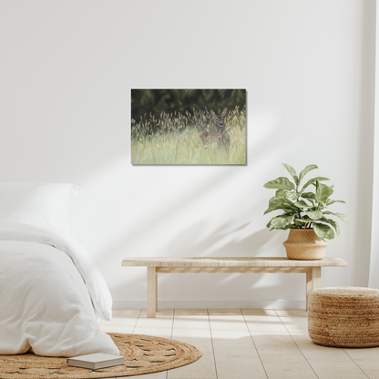 Morning meadow - a female roe deer in early morning grass on a stretched canvas