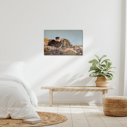 Puffin on the rocks: A stretched canvas print of a resting puffin