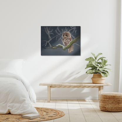 Moonlit tawny owl: waiting patiently on a stretch canvas print