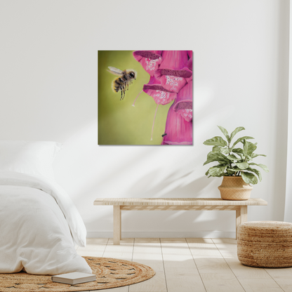 Floral dance - a busy bee approaching a foxglove in a stretched canvas