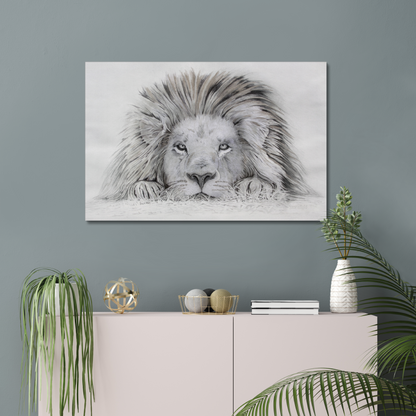 Lion - I see you: a stretched canvas print of a lazy lion painting