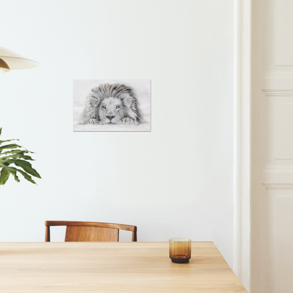 "Lion - I see you" : an open edition print