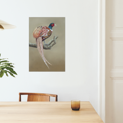 "Male pheasant" : an open edition print