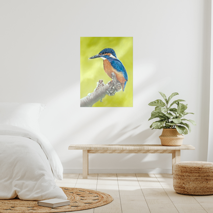 "Kingfisher" : an open edition print