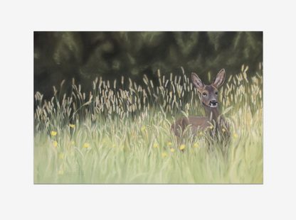 Roe deer in a grassy field with flowers and trees in the background