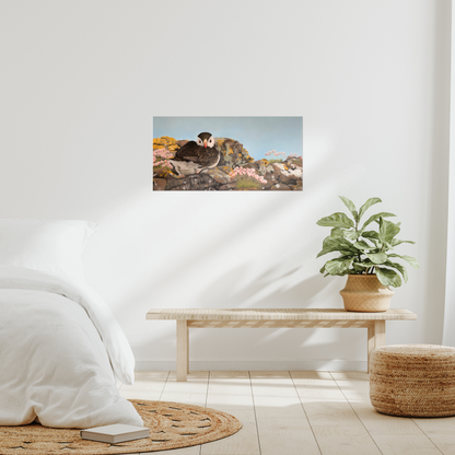 "Puffin on the rocks" : an open edition print