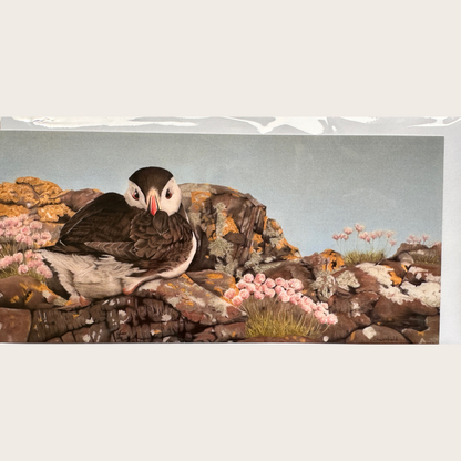 Puffin on the Rocks - Greetings card