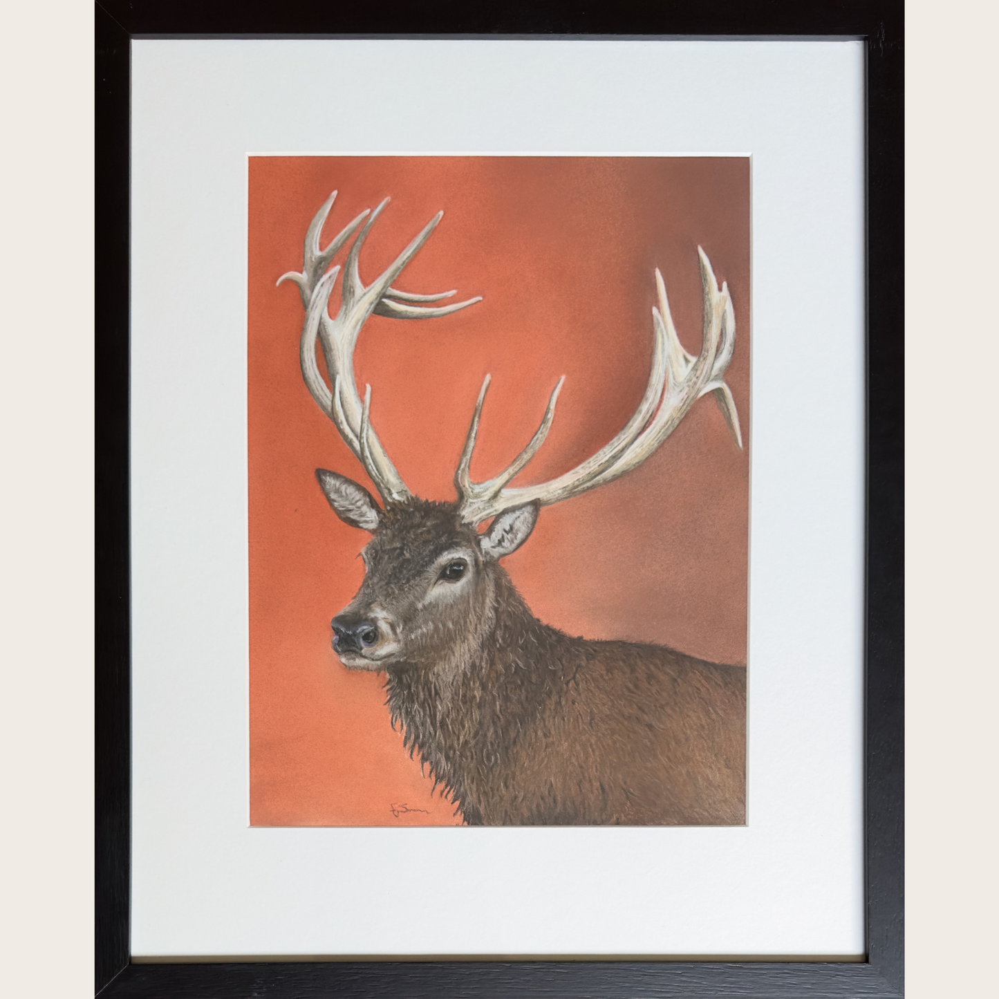 Framed picture of a red deer stag with antlers in an original pastel painting by artist Fiona Stansfield 