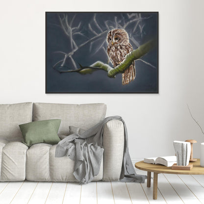 Moonlit tawny owl (e)